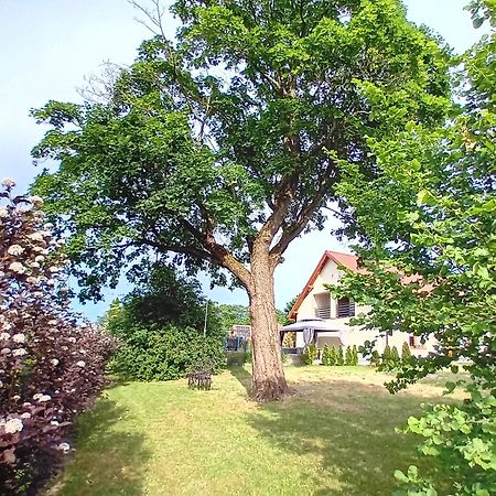 Pokoje Goscinne Sloneczny Klon Dabrowno Buitenkant foto