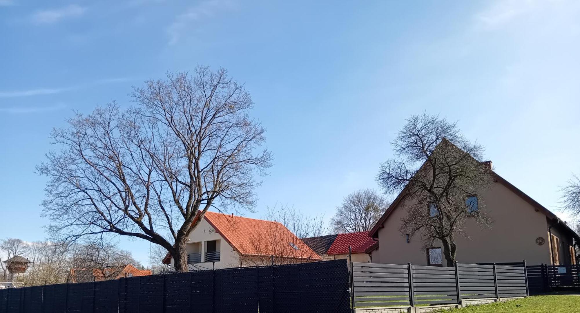 Pokoje Goscinne Sloneczny Klon Dabrowno Buitenkant foto