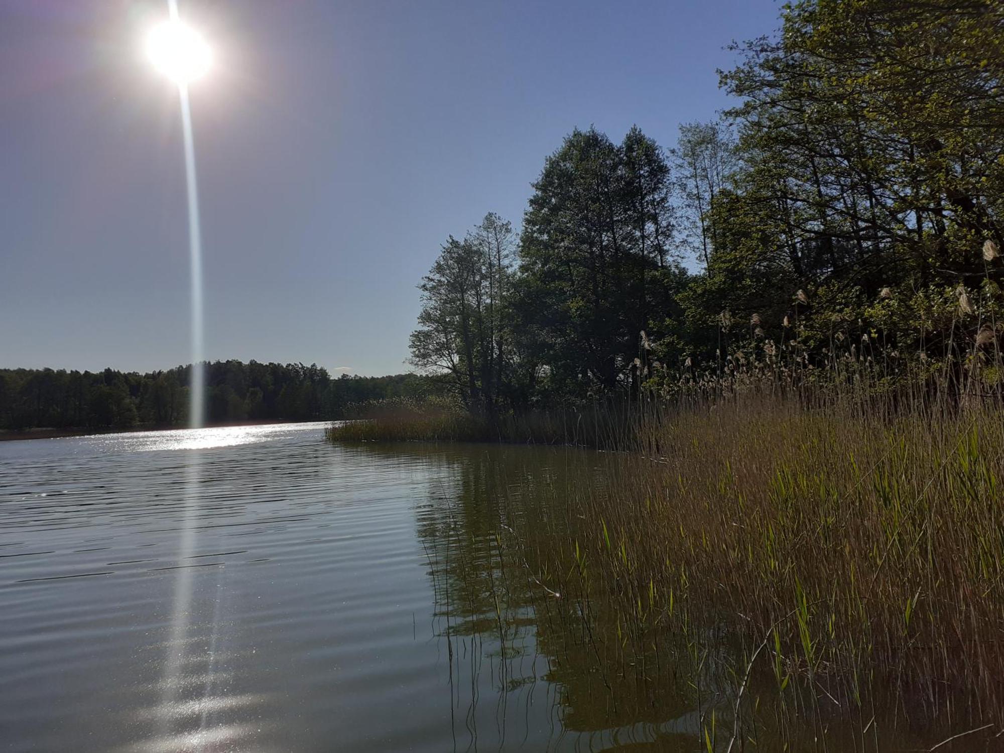 Pokoje Goscinne Sloneczny Klon Dabrowno Buitenkant foto
