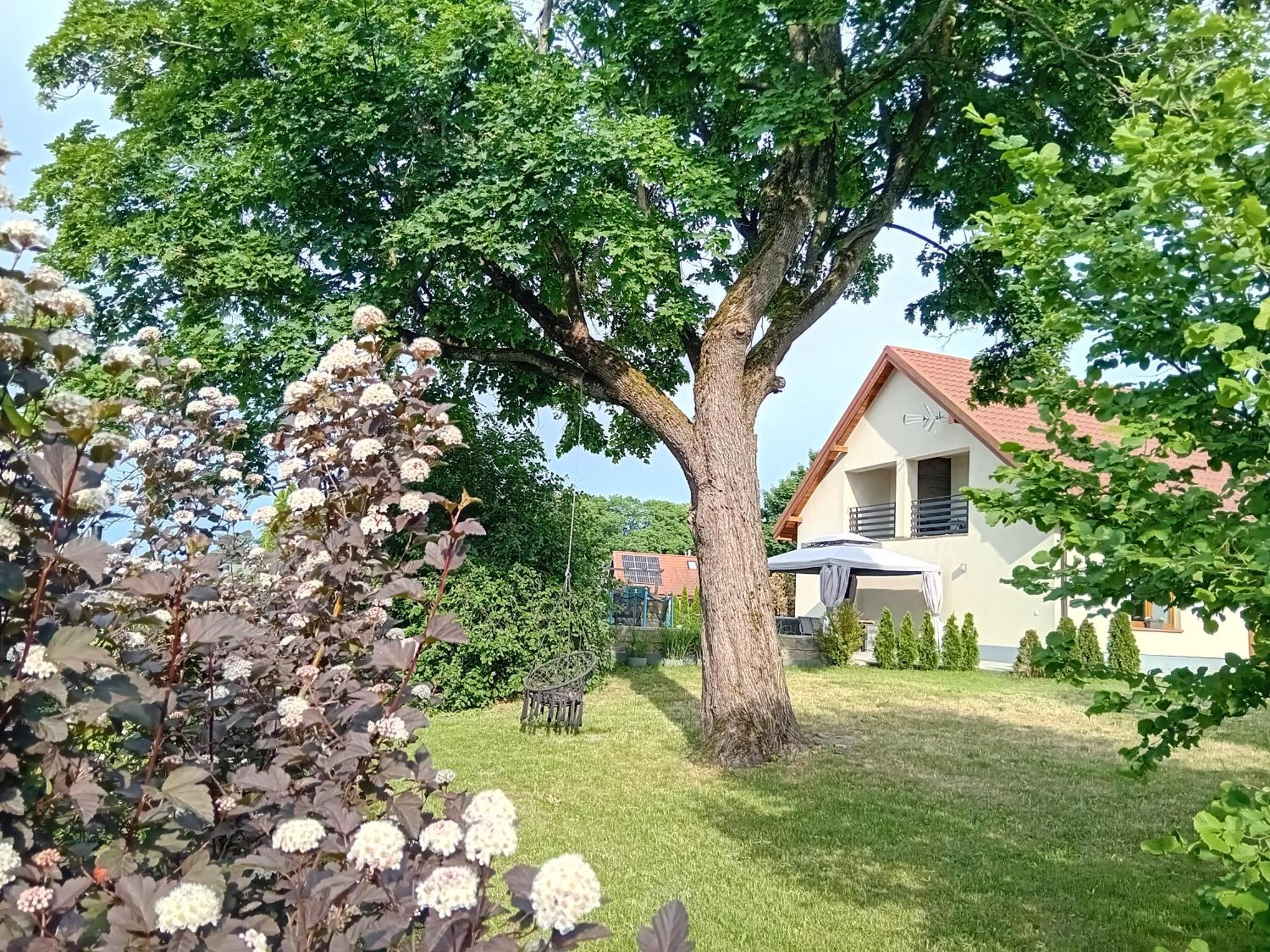 Pokoje Goscinne Sloneczny Klon Dabrowno Buitenkant foto