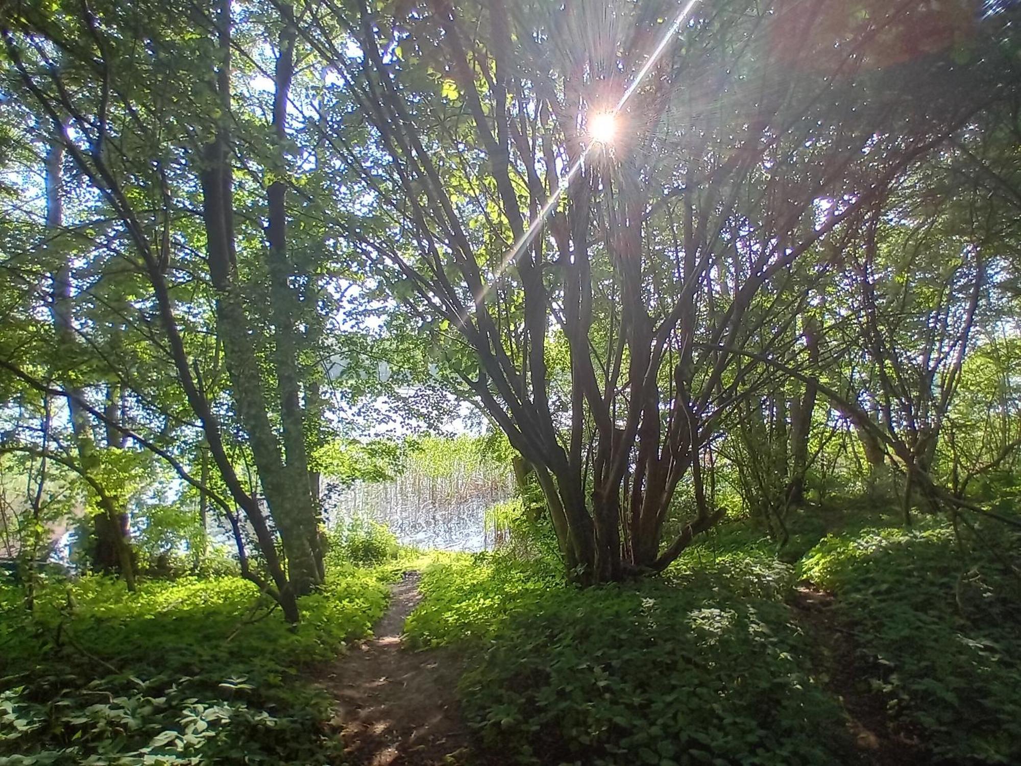 Pokoje Goscinne Sloneczny Klon Dabrowno Buitenkant foto