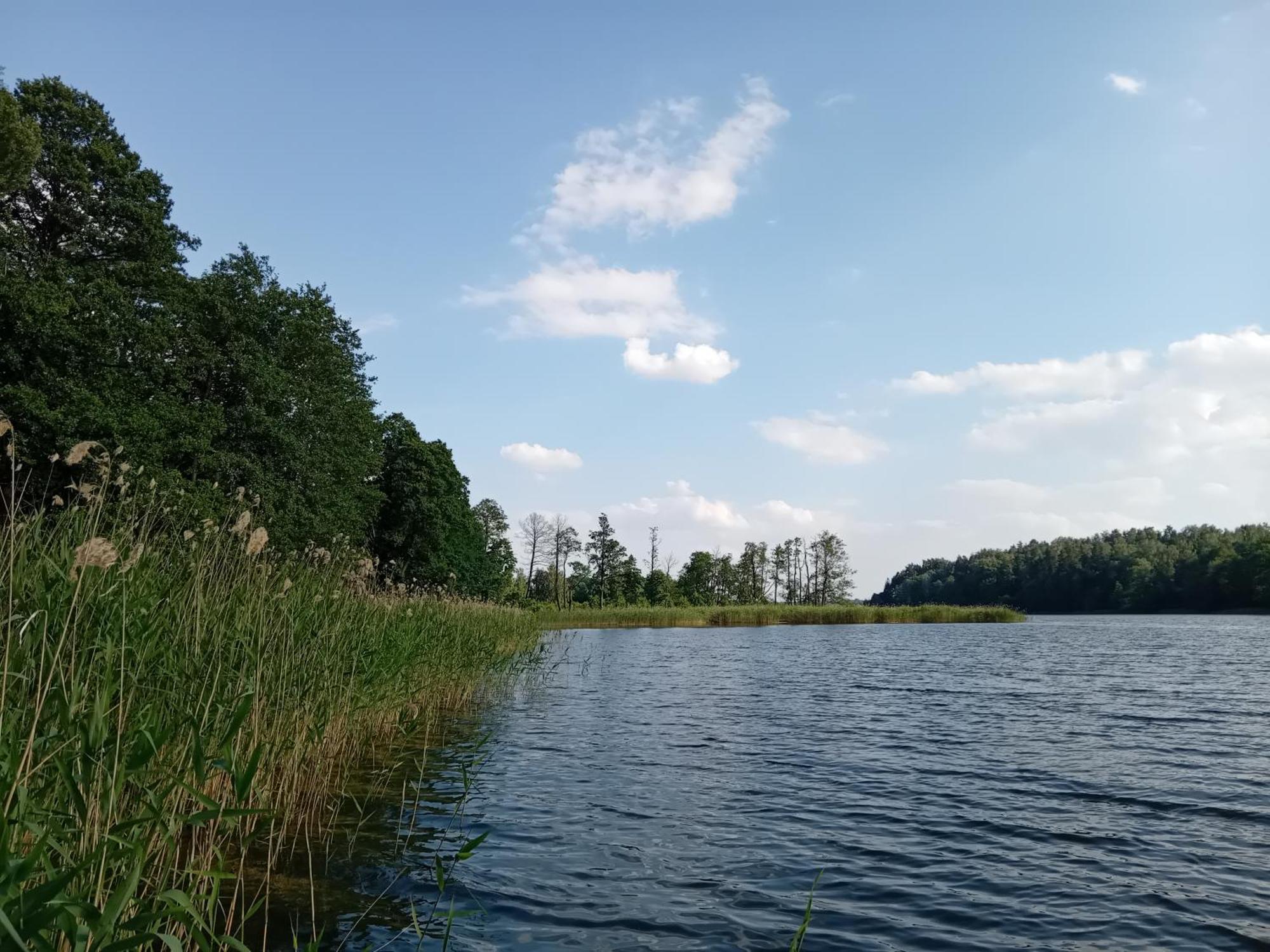 Pokoje Goscinne Sloneczny Klon Dabrowno Buitenkant foto