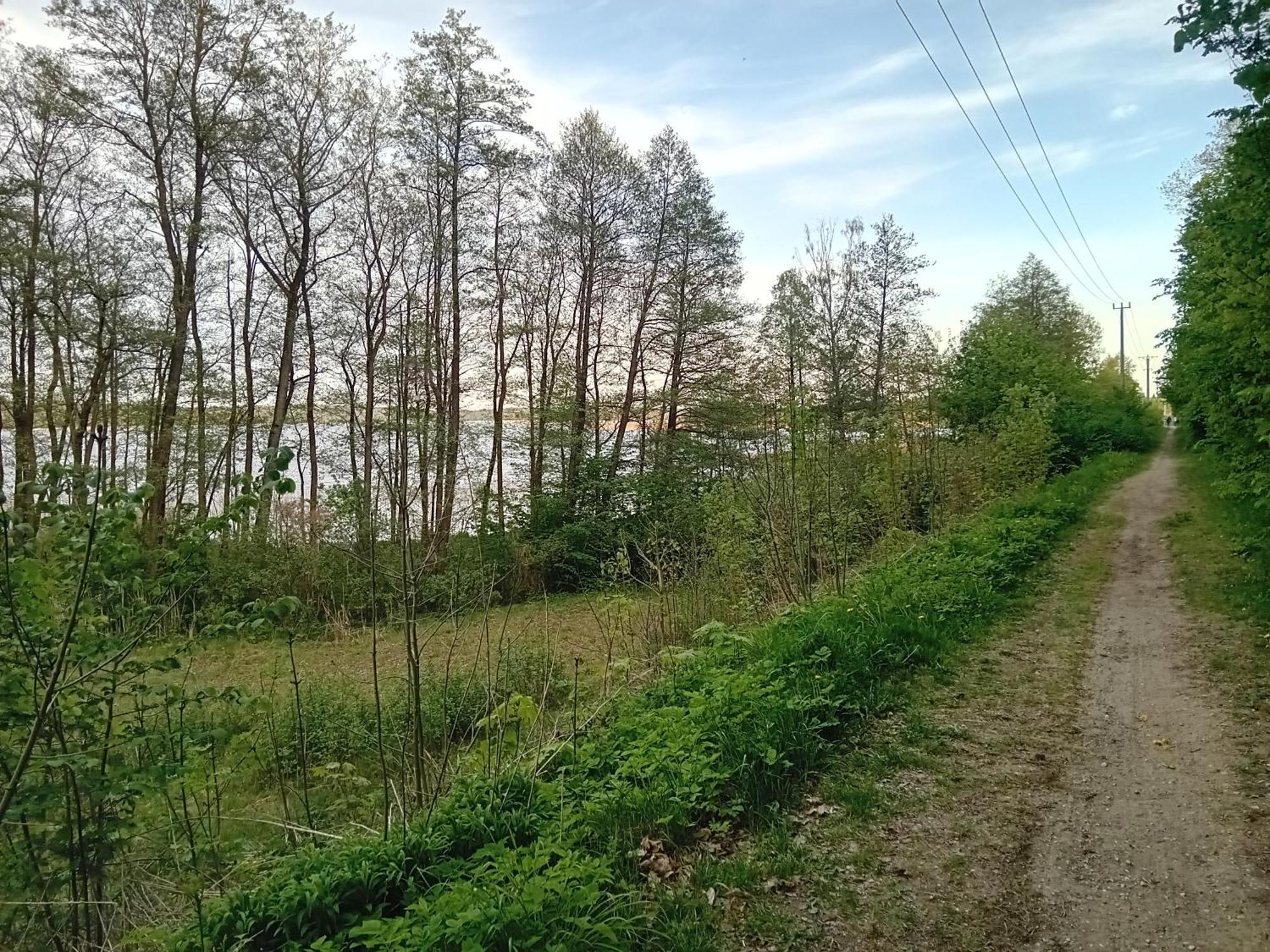 Pokoje Goscinne Sloneczny Klon Dabrowno Buitenkant foto