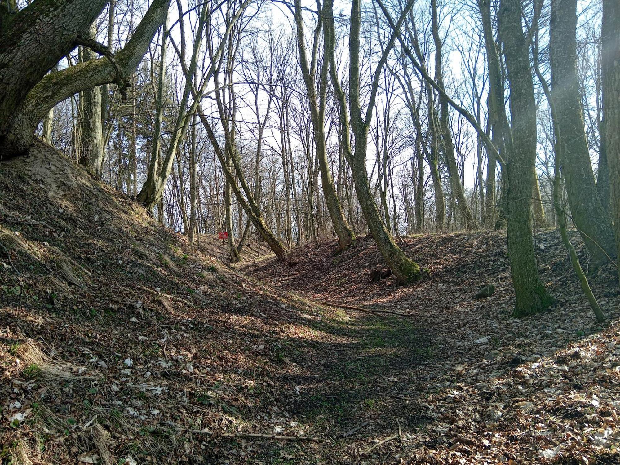 Pokoje Goscinne Sloneczny Klon Dabrowno Buitenkant foto