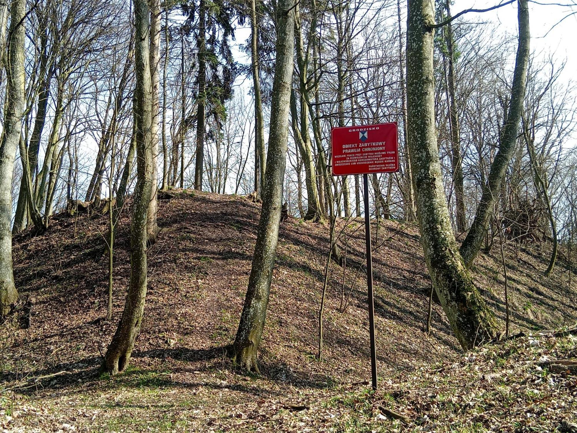 Pokoje Goscinne Sloneczny Klon Dabrowno Buitenkant foto