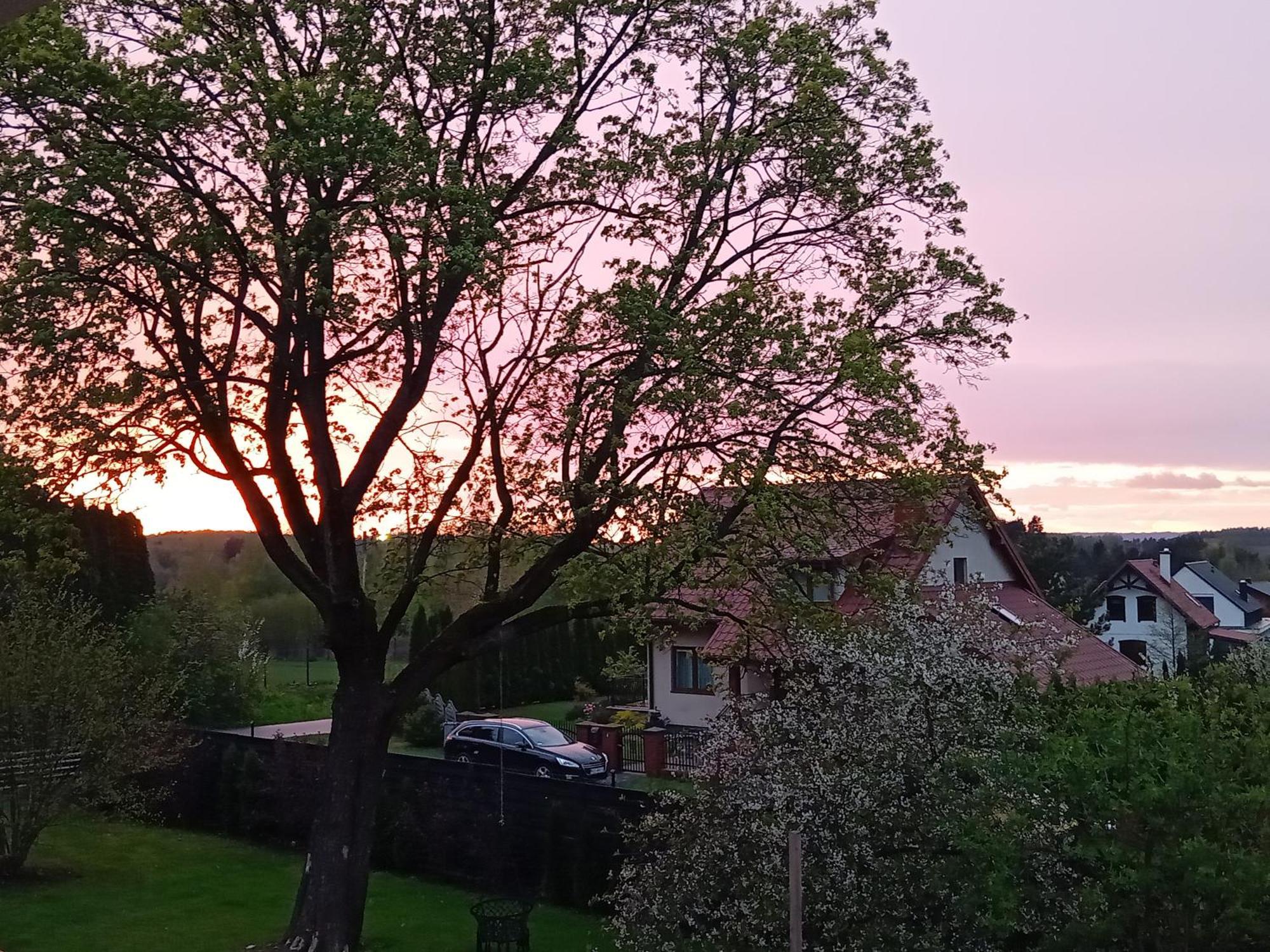Pokoje Goscinne Sloneczny Klon Dabrowno Kamer foto