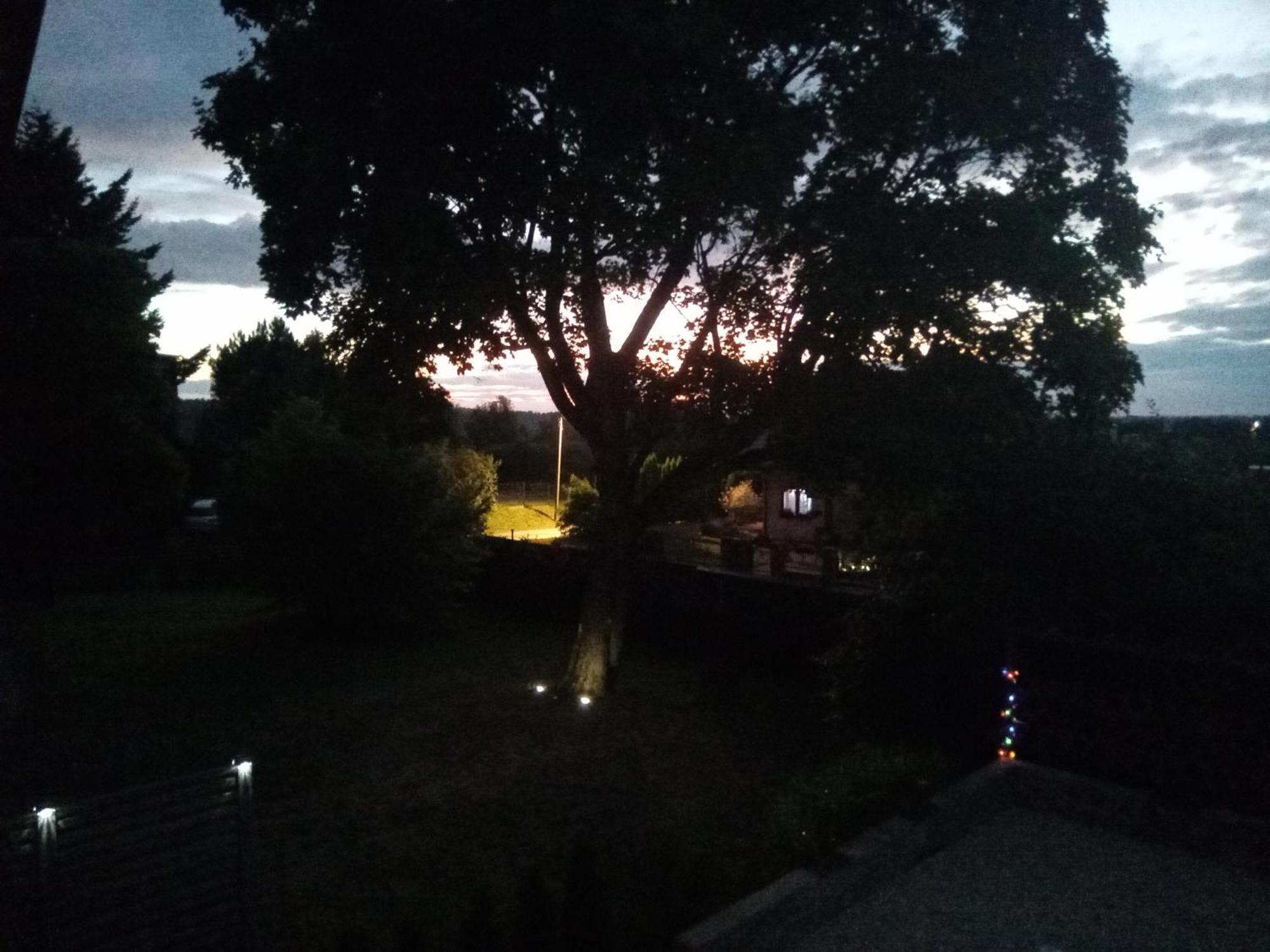 Pokoje Goscinne Sloneczny Klon Dabrowno Kamer foto